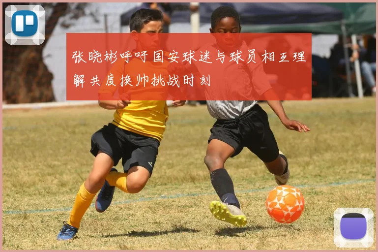 张晓彬呼吁国安球迷与球员相互理解共度换帅挑战时刻