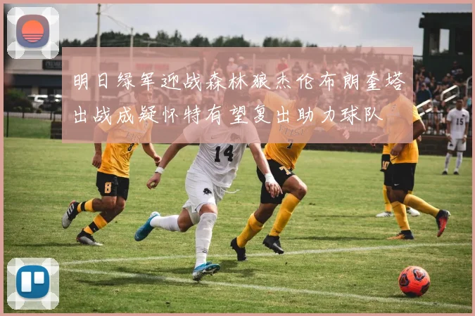 明日绿军迎战森林狼杰伦布朗奎塔出战成疑怀特有望复出助力球队