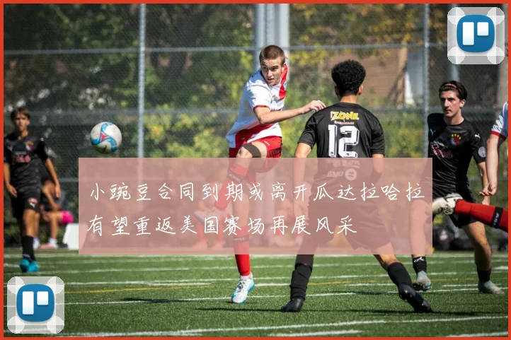 小豌豆合同到期或离开瓜达拉哈拉有望重返美国赛场再展风采