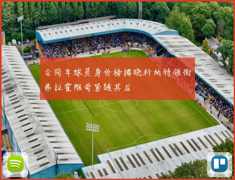 合同年球员身价榜揭晓科纳特领衔弗拉霍维奇紧随其后