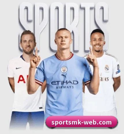 平台简介 - 体育资讯内容服务 - MKSPORTS